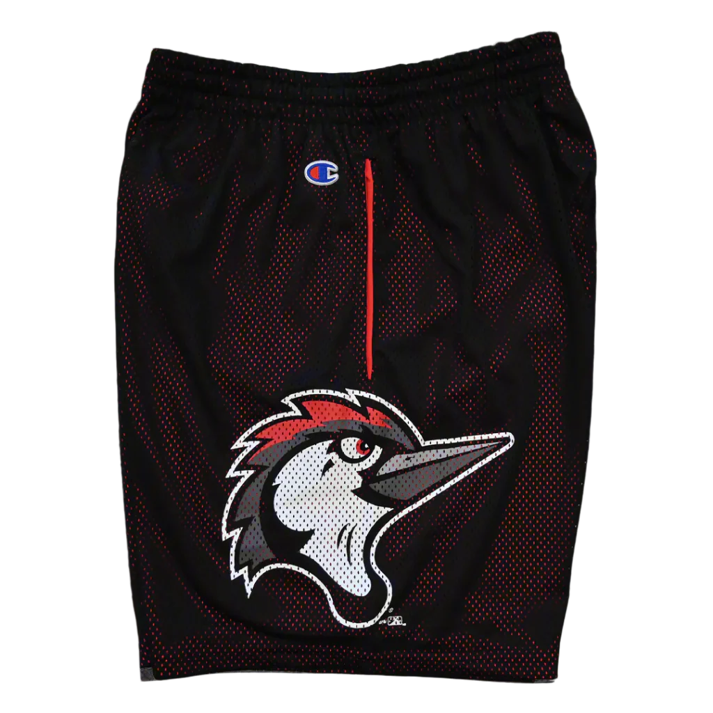 Fayetteville Woodpeckers Champion Men s Mesh Shorts The Birds Nest Team Store