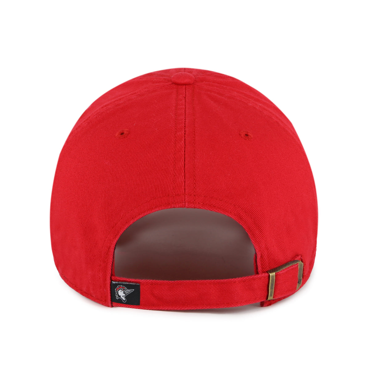 Fayetteville Woodpeckers '47 Brand The Ville Clean Up Cap – The