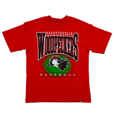 Fayetteville Woodpeckers 47 Brand Men's Hot Corner T-shirt
