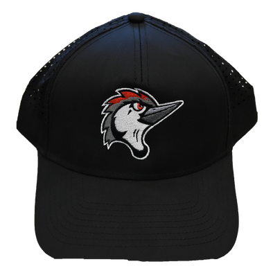Fayetteville Woodpeckers American Needle Pacific Coast Adjustable Cap blk
