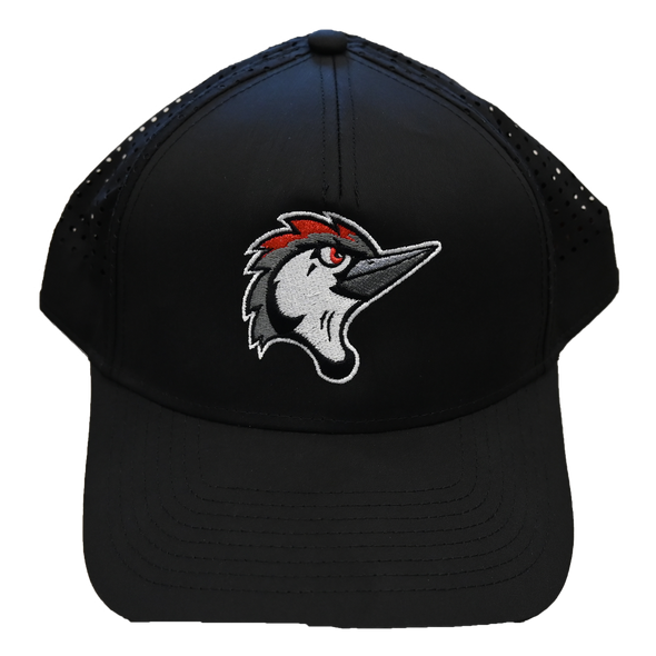 Fayetteville Woodpeckers American Needle Pacific Coast Adjustable Cap blk
