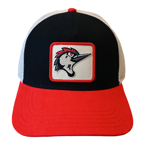 Fayetteville Woodpeckers American Needle Twill Valin Cap