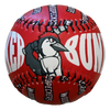 Fayetteville Woodpeckers BWM Bunker Baseball front 