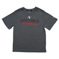 Fayetteville Woodpeckers Champion Youth Heathered Grey Impact T-shirt