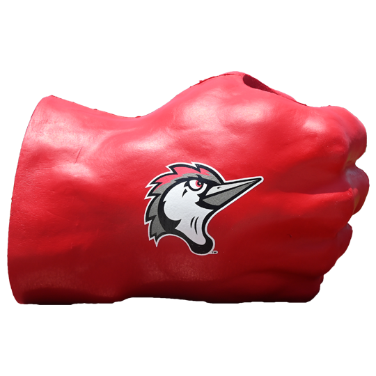 Fayetteville Woodpeckers Coopersburg Sports Fan Fist red