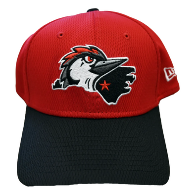 Fayetteville Woodpeckers New Era Alternate 39Thirty Flex Fit Cap 