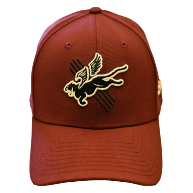 Fayetteville Woodpeckers New Era Eighty Deuces 39Thirty Flex Fit Cap