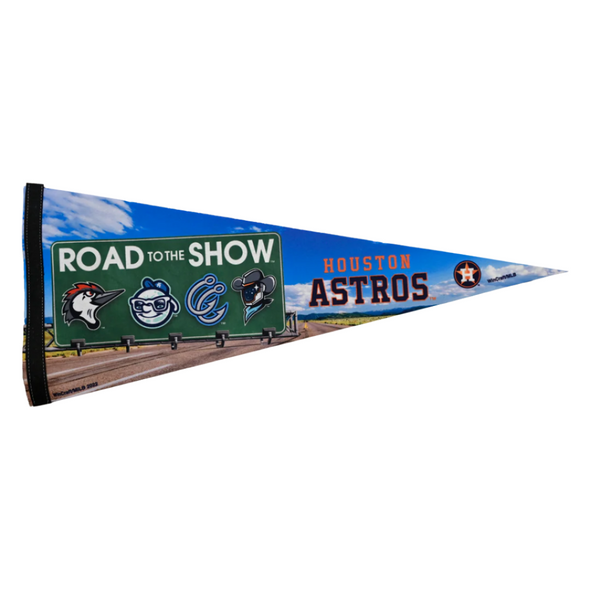 Fayetteville Woodpeckers Wincraft Sports Road to the Show Pennant