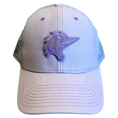 Fayetteville Woodpeckers Women's  '47 Brand Haze MVP Cap