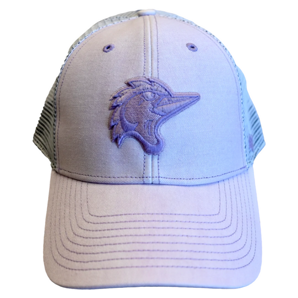 Fayetteville Woodpeckers Women's  '47 Brand Haze MVP Cap