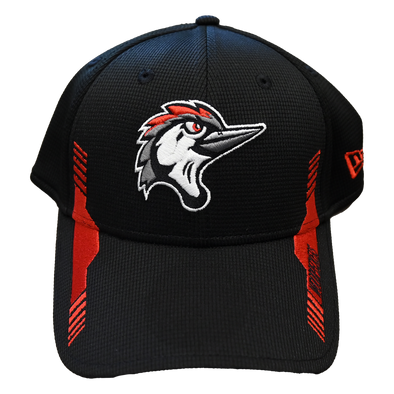 Fayetteville Woodpeckers New Era Team Vize Flex Fit