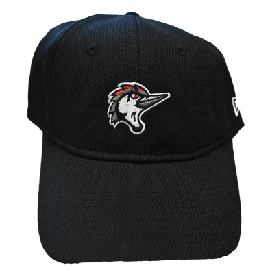 Fayetteville Woodpeckers Women's Dash Cap