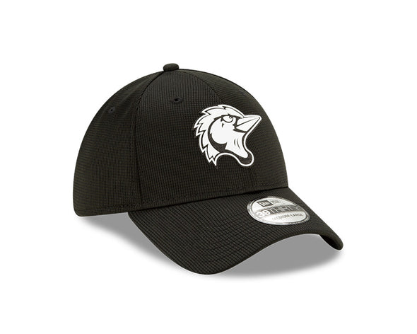 Men's New Era Home Clubhouse 39Thirty Flex Fit