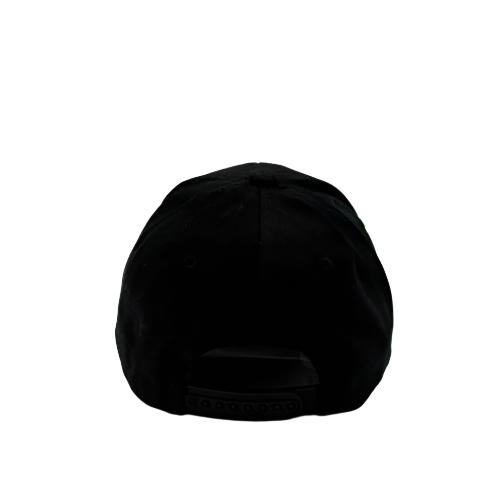 Fayetteville Woodpeckers '47 Brand Toddler Home Cap Logo MVP Cap back 