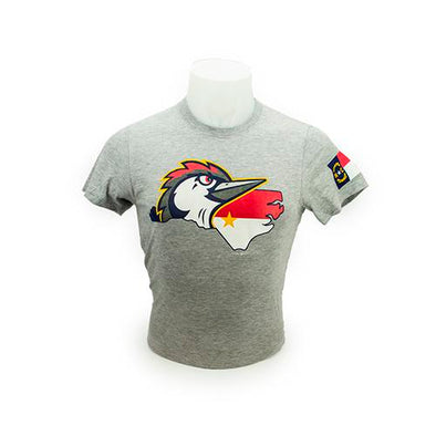 Fayetteville Woodpeckers Bimm Ridder Men's Home State Logo T-Shirt grey