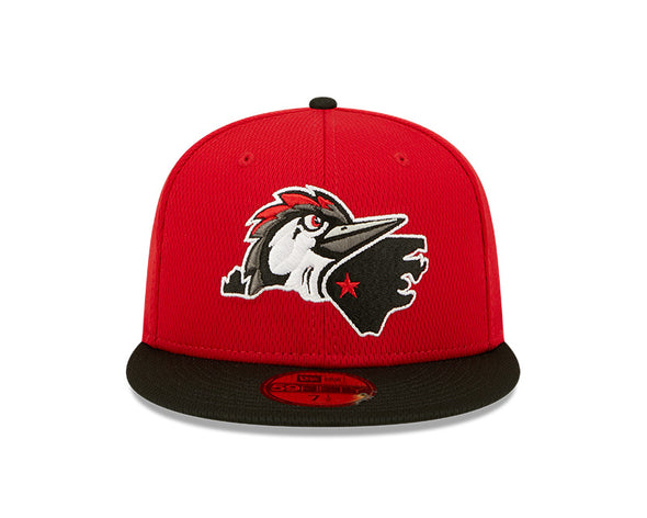 Fayetteville Woodpeckers New Era Authentic Home State Logo 59Fifty Fitted Cap front 