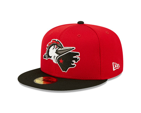 Fayetteville Woodpeckers New Era Authentic Home State Logo 59Fifty Fitted Cap side