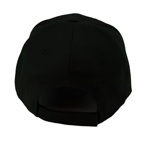 Fayetteville Woodpeckers New Era Home Cap Logo 9Forty Adjustable Cap back 